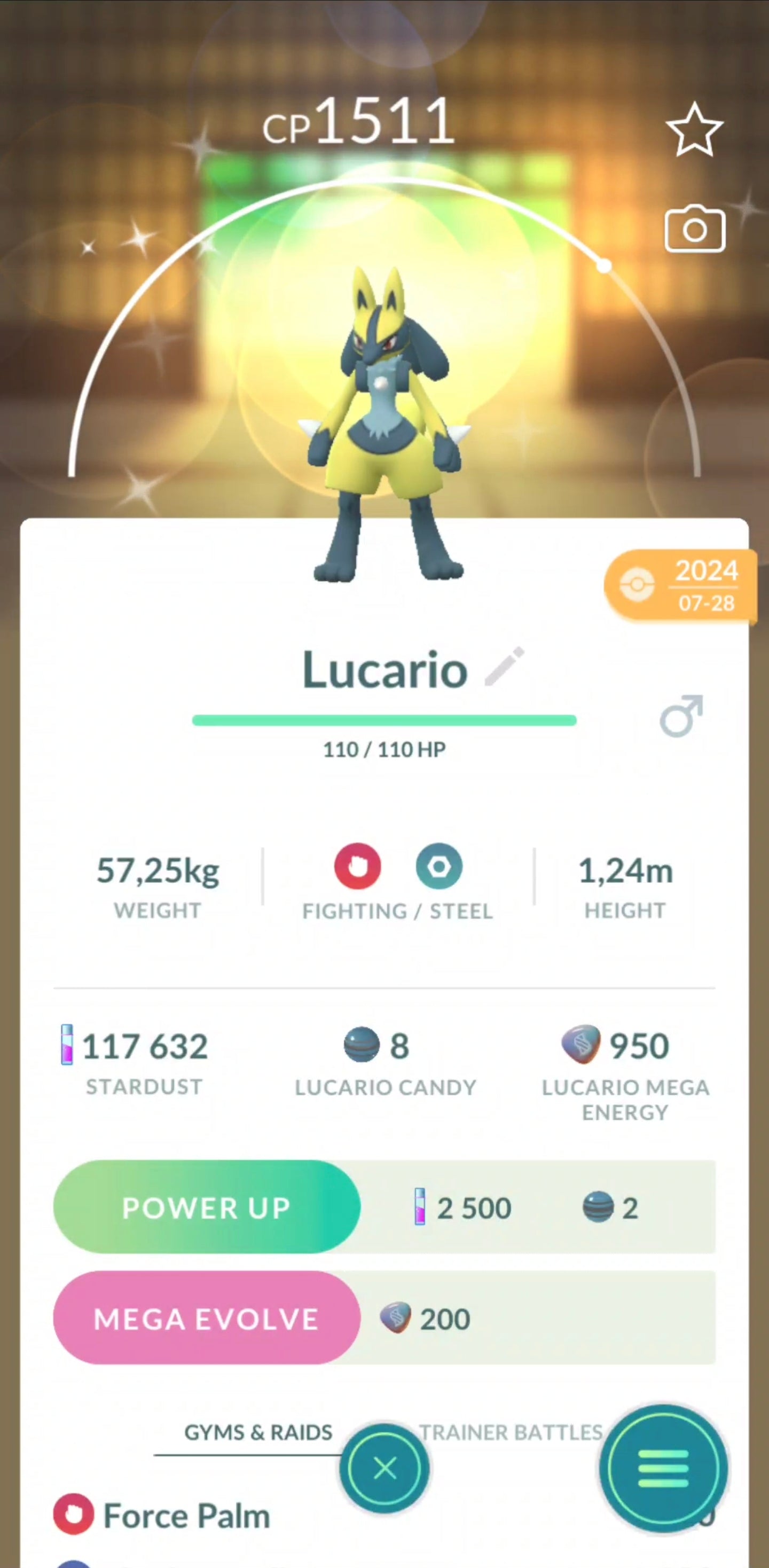 Shiny Lucario Account