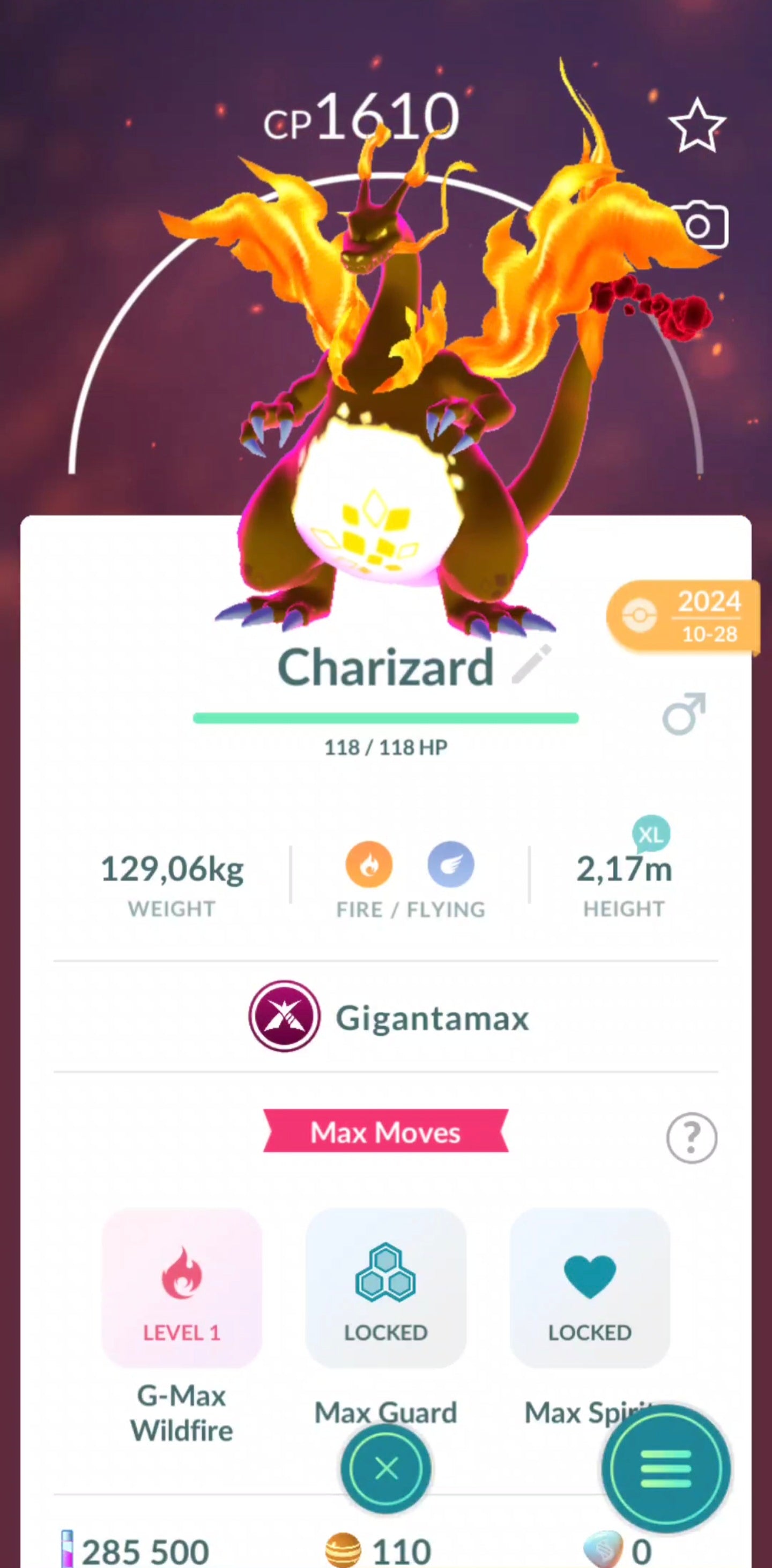 Gigantamax Charizard Acc