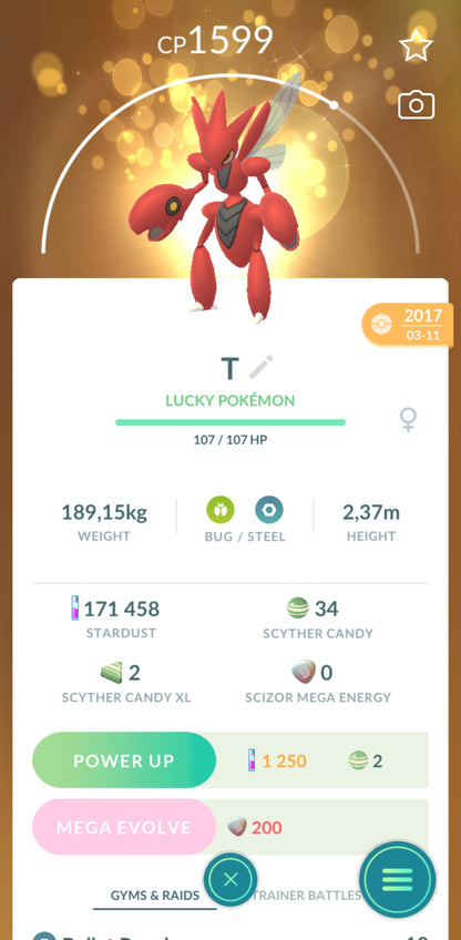 Level 33🌟 Account