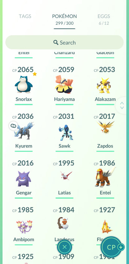 Level 33🌟 Account