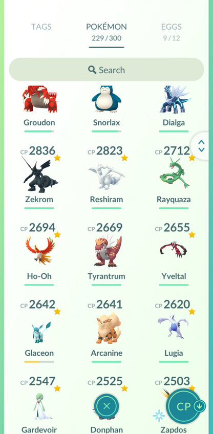 Level 33🌟 Account
