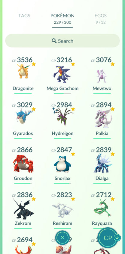 Level 33🌟 Account