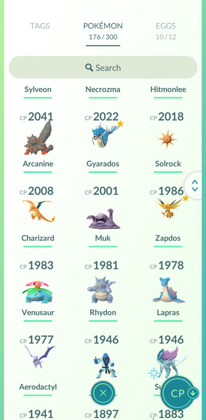 Level 31 🌟 Account