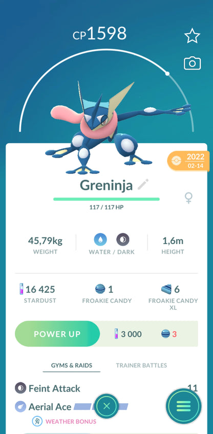 Level 33 🌟 Account