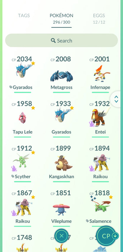 Level 31 🌟 Account