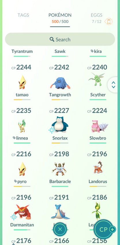 Level 33🌟 Account