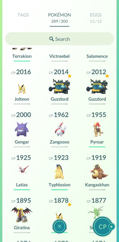 Level 31 🌟 Account